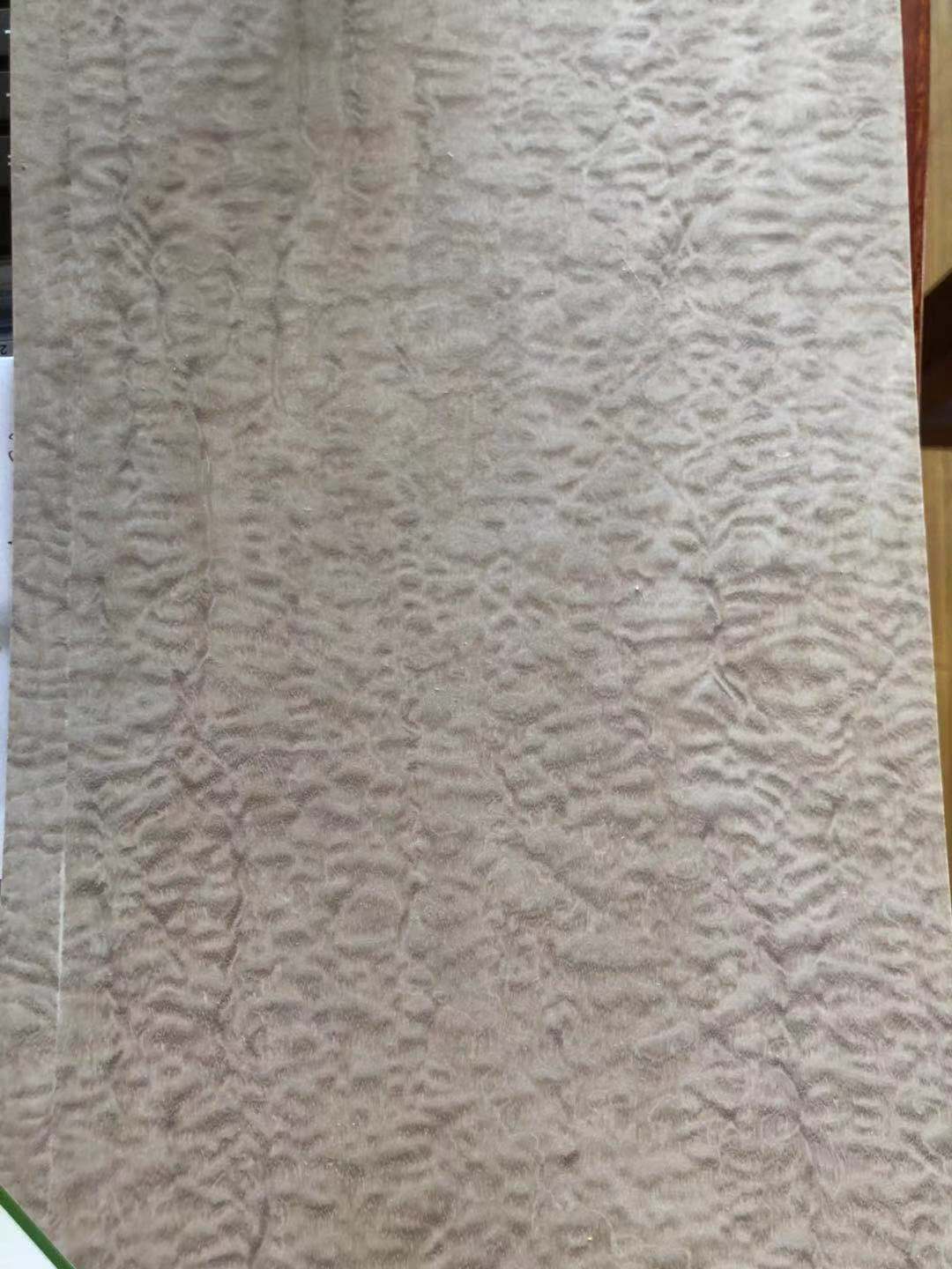 染色沙保 (5)