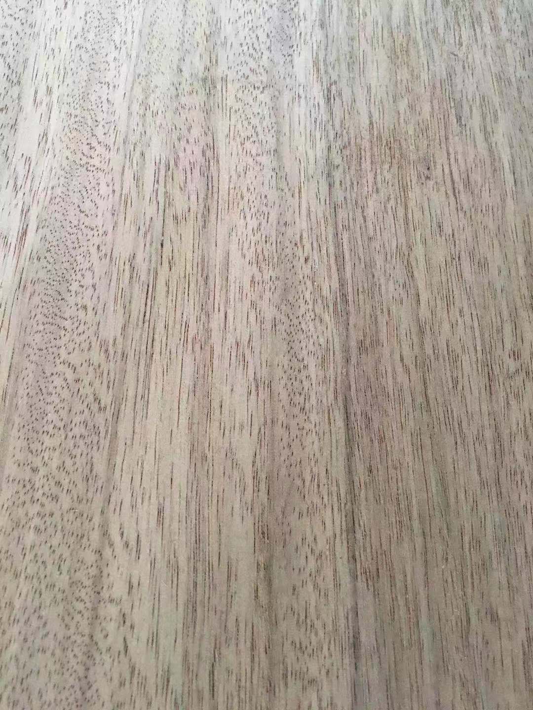 卡斯拉 (1)