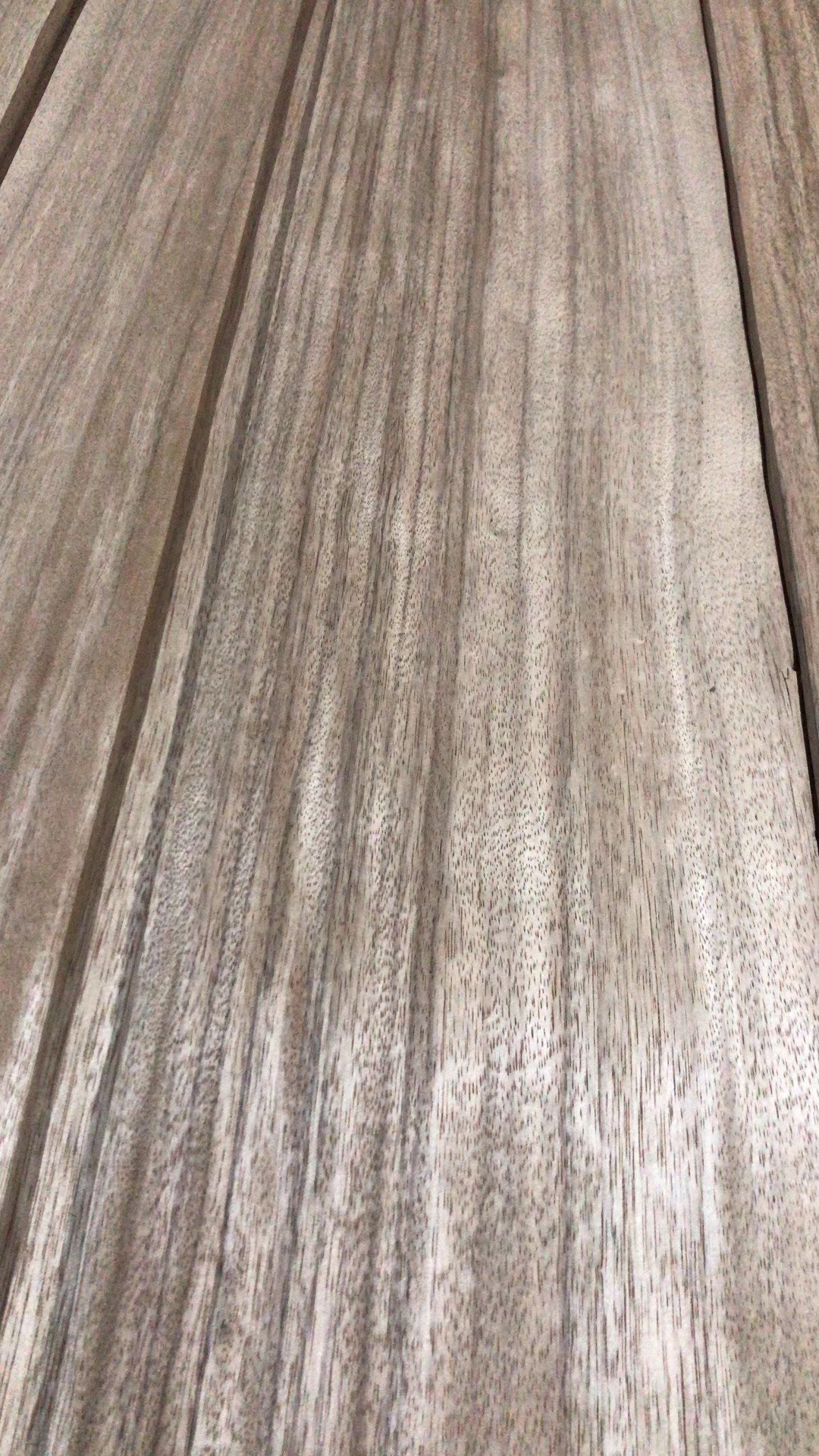卡斯拉 (4)