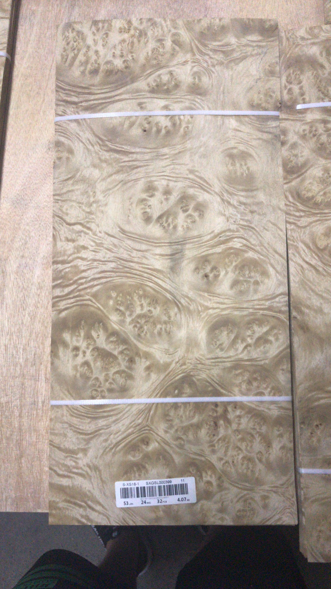 山香果树瘤 (4)