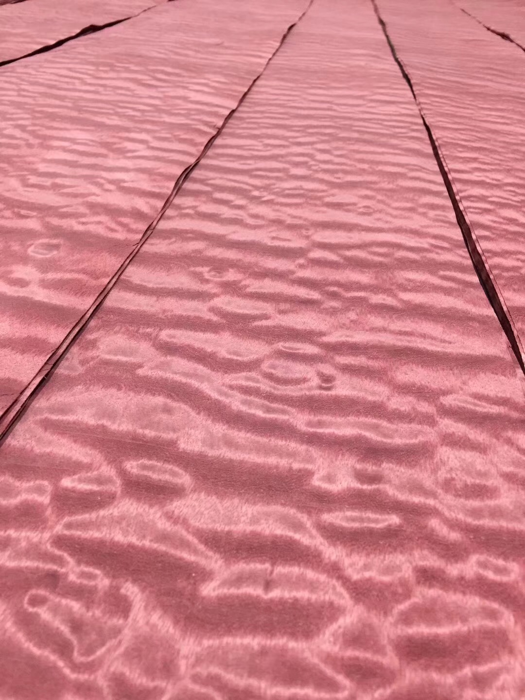 染色沙保 (9)
