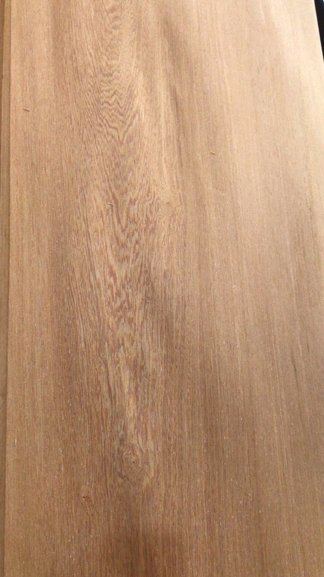 鸡翅 (1)