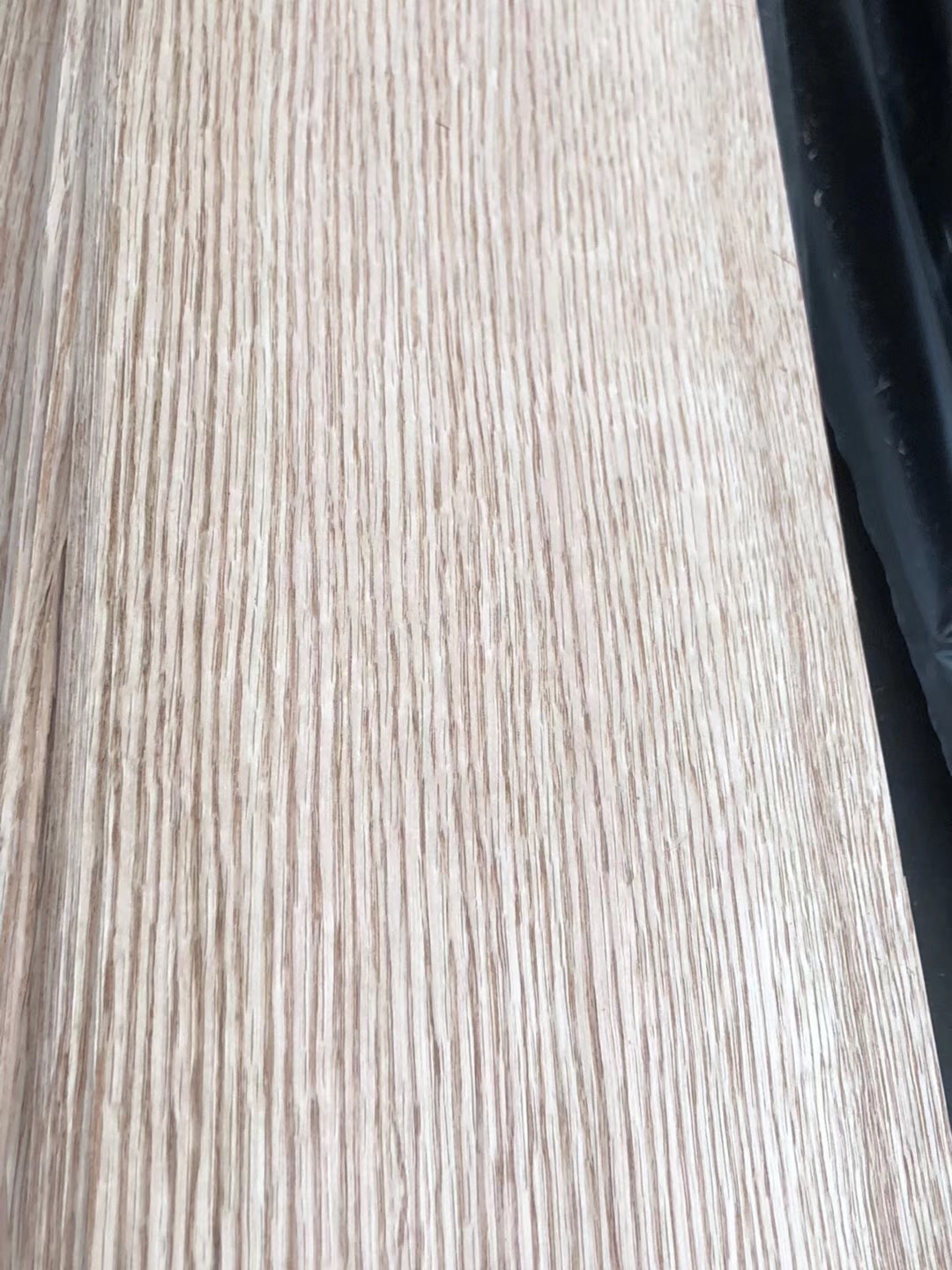红橡 (6)