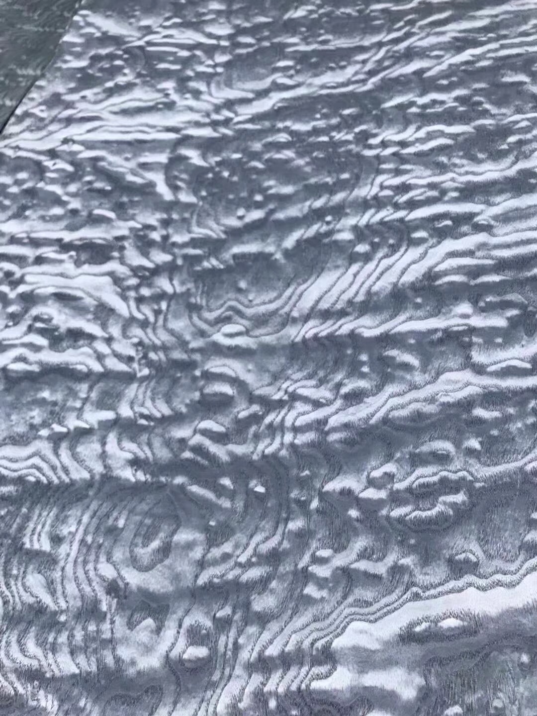 染色花曲柳 (3)