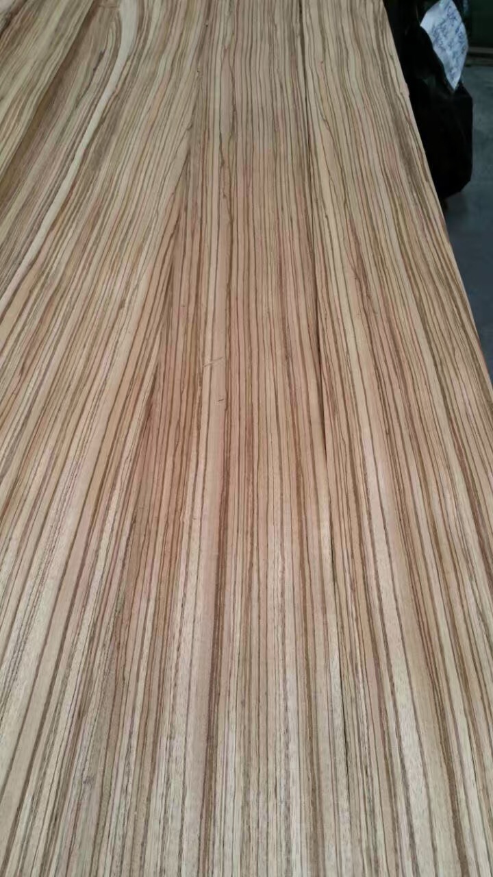 斑马 (7)