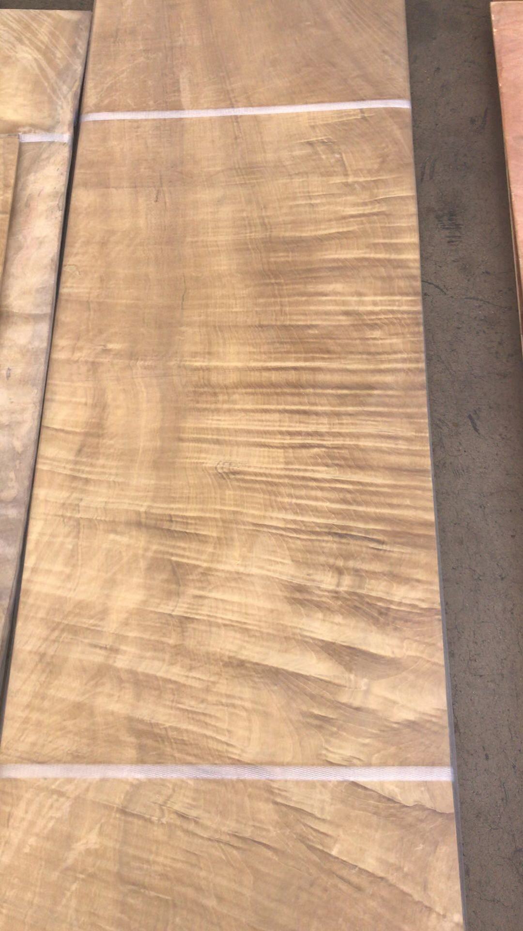 金丝楠 (4)