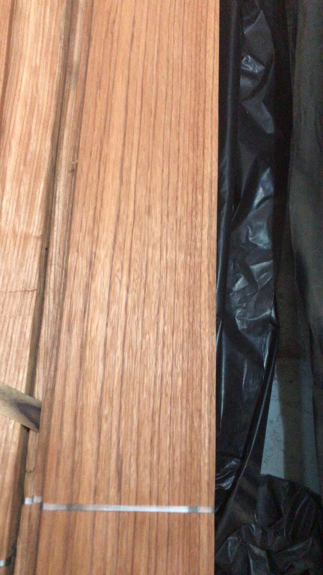 红玫瑰 (2)