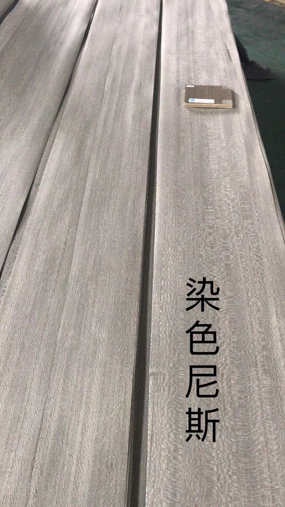 染色尼斯 (8)
