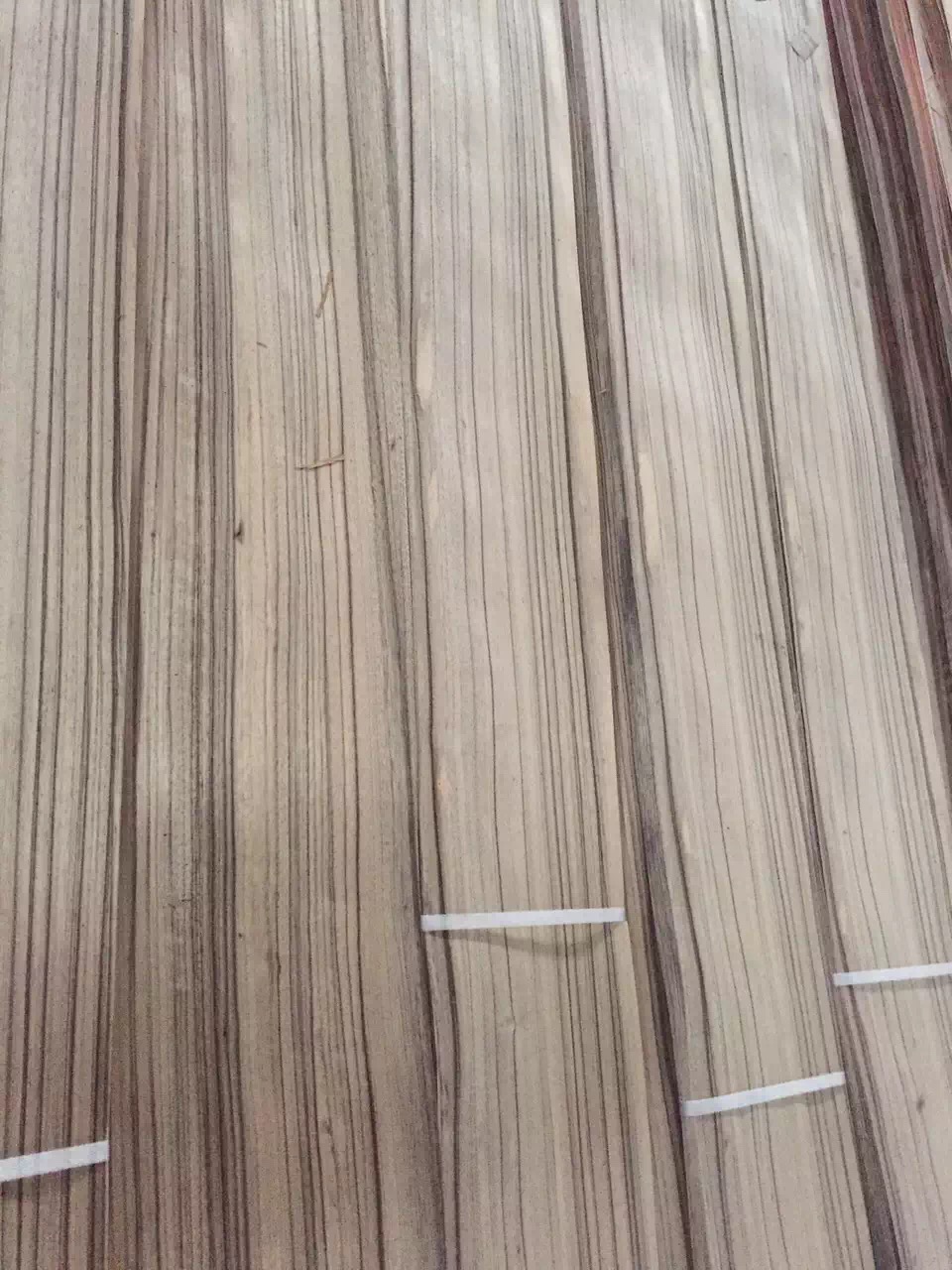非洲核桃木 (5)